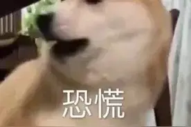 浙江女子醒来像吞刀片！严重或腐蚀器官，网友：啊！我每天都在做这事……图片