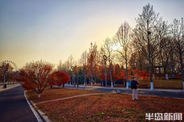 世博园冬色斑斓，暖阳周末醉游人