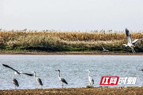 “益”起出发！益阳这5条旅游线路，承包你的精彩旅程