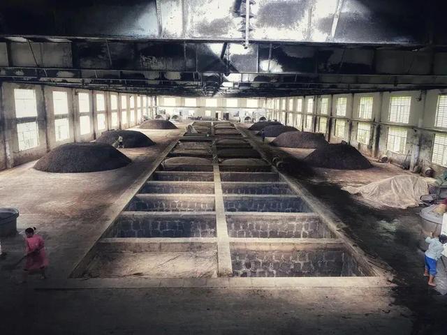 在茶园里发呆，在酒谷里听故事…旅居云县，静享慢时光