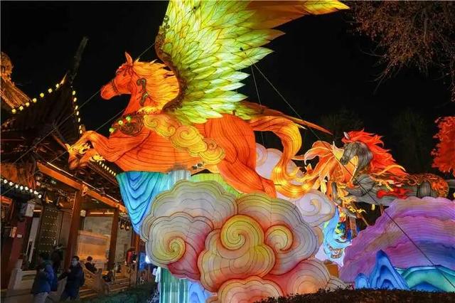 门东新“顶流”！一棵美到让全南京排队围观的树！