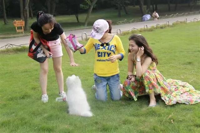 东湖森林烤场焕新开放！大型真香现场