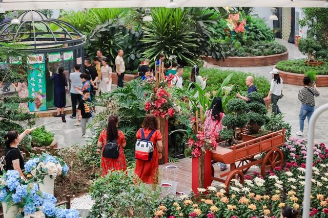 今开幕！顺义这片10万平米花海，壮观！