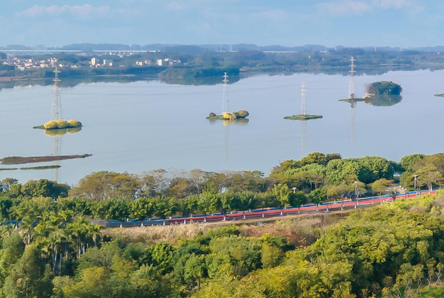 初冬暖阳，踩单车去！三水绝美骑行路线全揭秘，每一帧都是壁纸！