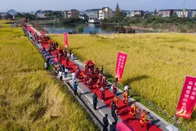 两会新华鲜报丨高法报告提出遏制高额彩礼引发共鸣图片