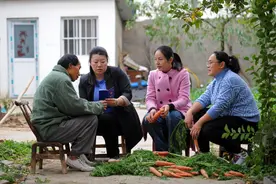 河南：完善分层分类社会救助体系 兜住兜准兜好民生保障底线图片