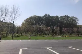 世纪公园变身“无界公园”+24小时开放公园！夜间10点后减弱灯光保障周边居民休息图片