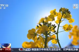 新一股冷空气蓄势待发 专家：此次降温有两大特点图片