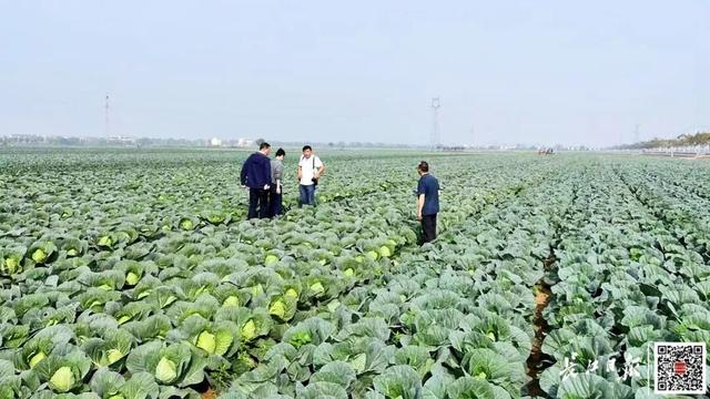 到武汉，仅需一个半小时！