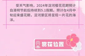 潍坊浞河赏樱全攻略来啦图片