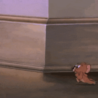 “紫荆之友·幸福联线”第二期上线！这次来玩猫抓老鼠→