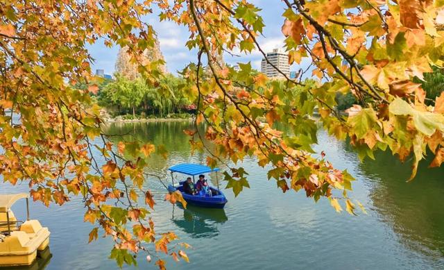 秋冬限定的普陀，美到让人流连忘返，你还不来打卡吗？