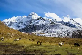 “圣洁拉萨·魅力雪顿” 将亮相第五届大运河文化旅游博览会图片