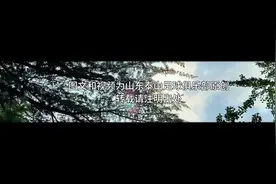 职业球员反哺青训，泰山精神一脉相承！崔鹏、唐晓程出任足校教练图片