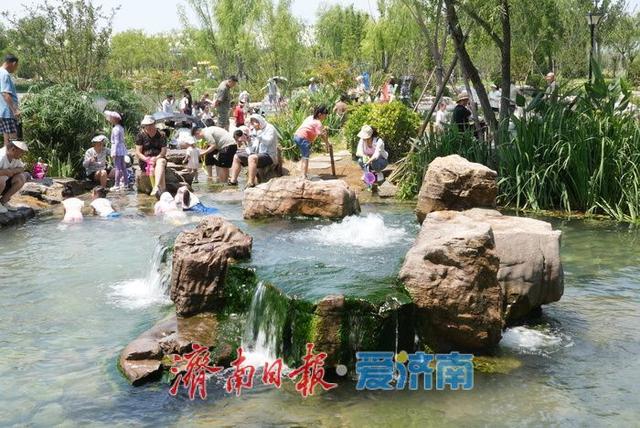 一年四季 泉在济南丨“白泉涌沙”景观再现 生态修复美景醉游人