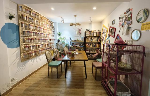 拒绝35岁中年人的青旅,00后也不住了