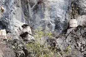 不是所有的蜂蜜都是土蜂蜜，这是别人家的独特养蜂秘法图片