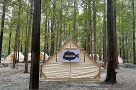 新营地来啦！南湾林间有鱼·杉屿森林露营地9月29日开营！图片