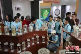 识百草、认中药 菲律宾华裔青少年福建体验中医药文化图片