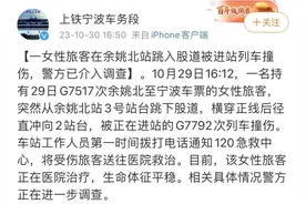 突发！进站高铁撞上跳轨女子...官方通报！图片