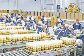 重庆加快打造城乡融合乡村振兴示范区图片