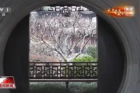 爱上中国只需一次说走就走的China Travel图片