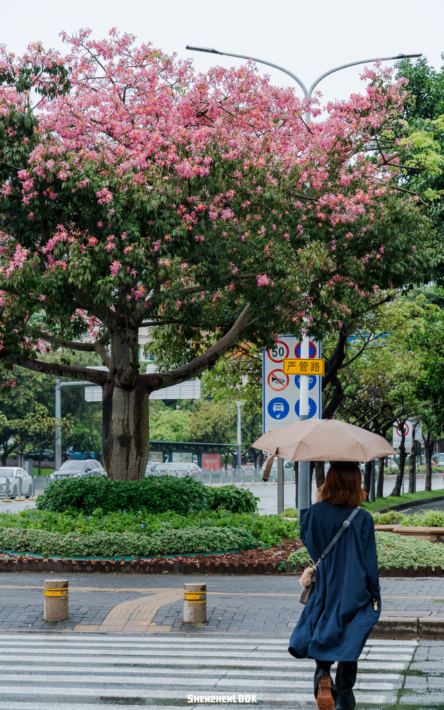 “接下来深圳这个地方，是粉色的”