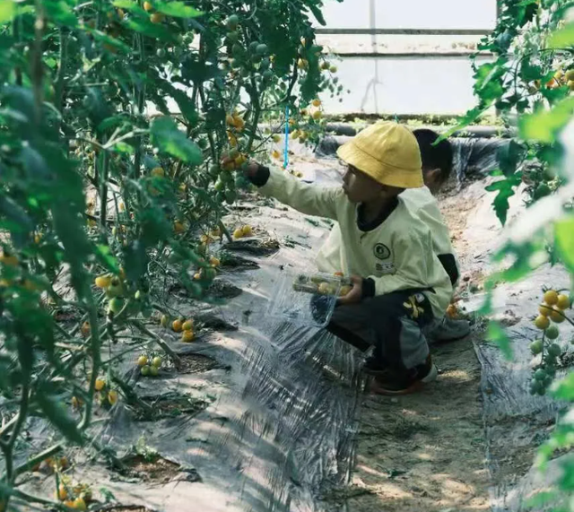 在淮安，寻找属于秋天的浪漫
