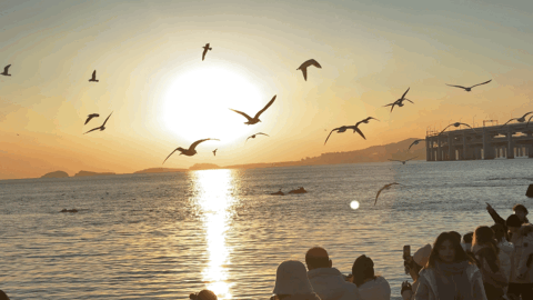 辽宁，能处！央视推荐！来辽宁赴一场山海之约