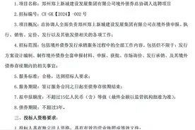 郑州一国资平台拟发行15亿元境外债，公开选聘总协调人图片