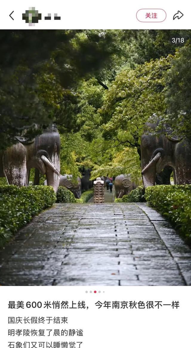南京石象路秋日限定正式上线