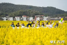 图视汇｜十年“油”你，“花”开含浦图片