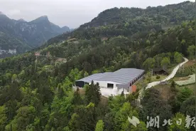 鹤峰：生态牛场“串”起循环农业链图片