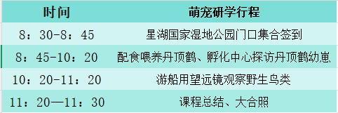 暑假遛娃新姿势！星湖暑期亲子研学盛宴：仙鹤、萌宠、虫趣全解锁～