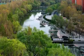 多少分可以上郑州大学？如何志愿填报才是最优？一文速览→图片