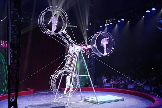 五大核心体验！“2025醉东风乡村艺栈夜游季”今日重磅启幕