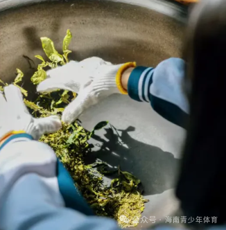 国庆白沙“羽”乐无穷！2025年“奔跑吧·少年”全国青少年体育联合会青少儿羽毛球巡回赛（海南赛区）景点推荐来啦