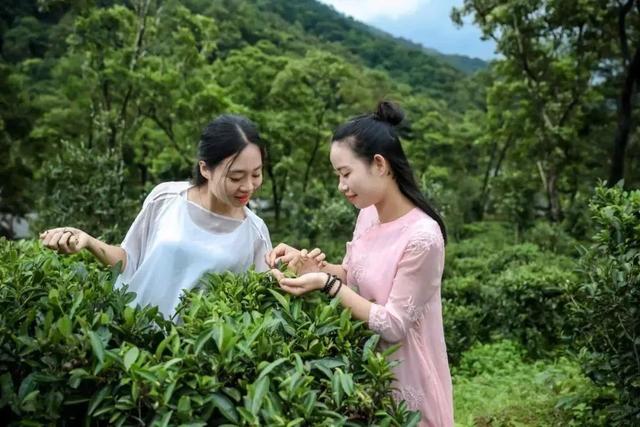 热到融化？优惠已备好，钦州山野凉风吹起来～