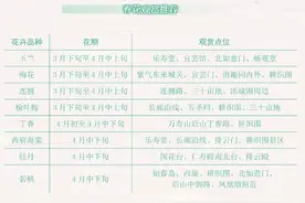 12个春日赏花游园好去处，都为你整理好了图片