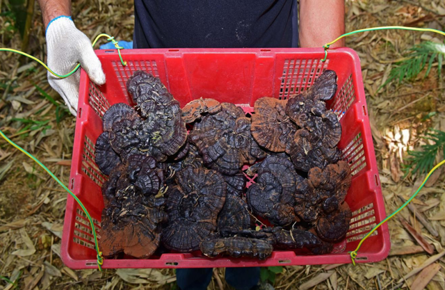 新潮！梯面解锁休闲乡村新玩法~
