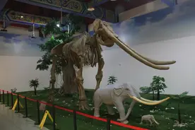 【甘快看·千年石窟 匠心传承】“石”说新语：探秘陇东这个“可移动的敦煌莫高窟”图片