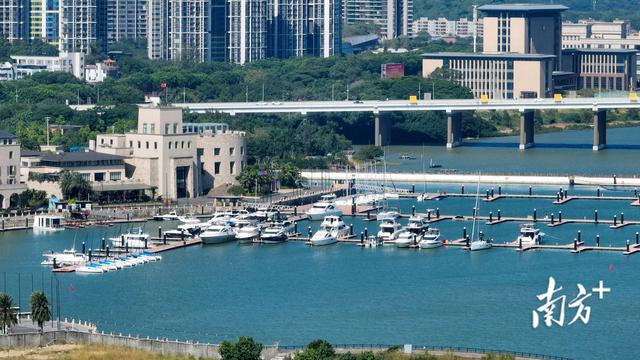 首发亮相！“南沙旭日”专线公交上路
