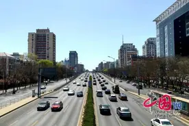 清明假期哪里适宜旅行？扫墓注意什么？一文看全图片