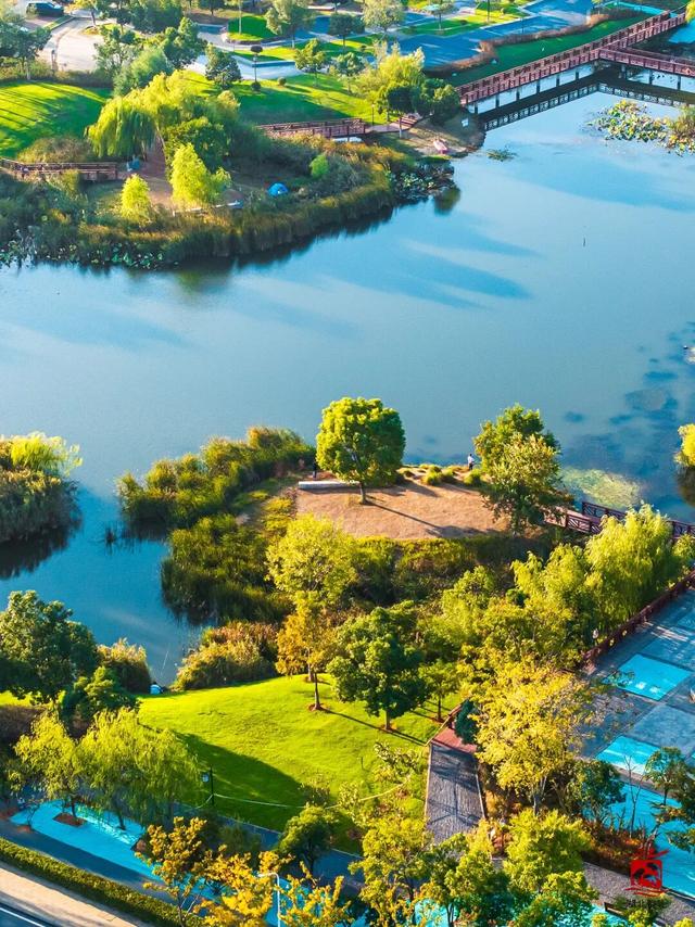 换个角度看荆楚——武汉光谷云端双体验！