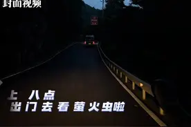 出发！来一场夏夜萤火虫之旅图片