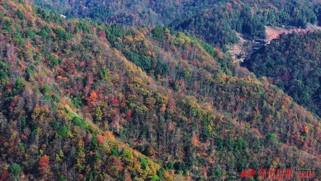 ​图说 | 中方县：“中国南方葡萄沟”五彩斑斓如油画