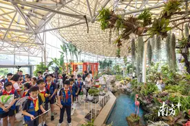 304种植物展出！广东珍稀特色植物展在广州开幕图片