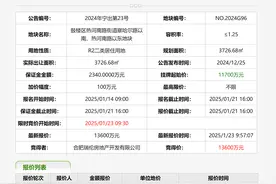2025年南京首场土拍迎开门红，揽金4.86亿元图片