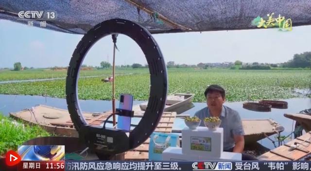 青峰翠壑、奇松怪石、碧海银沙……各地夏日美景勾勒出一幅盛夏绮丽画卷