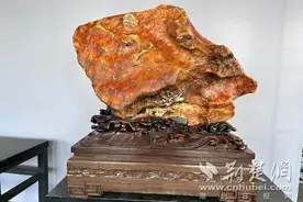 今日开幕！奇石展亮相武汉园博园图片